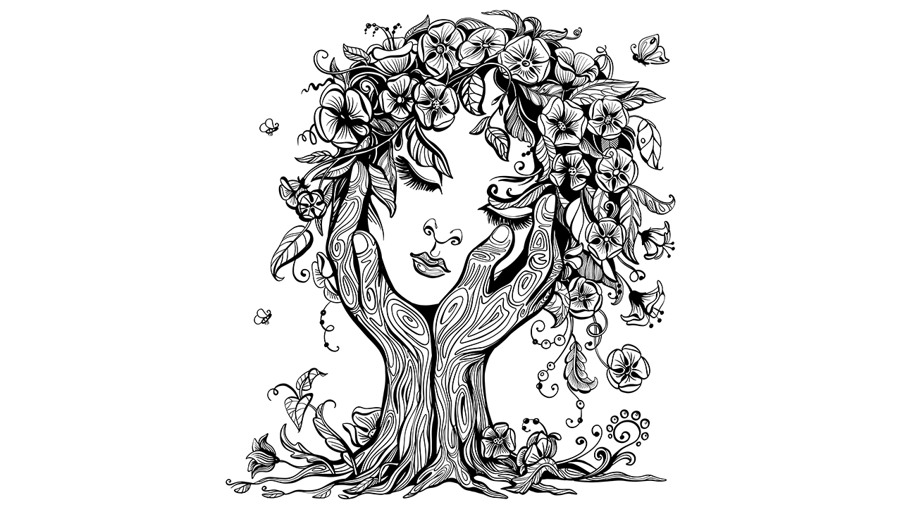 Facilitation and Organisational Healing